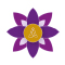 Logo Salus Meditatio